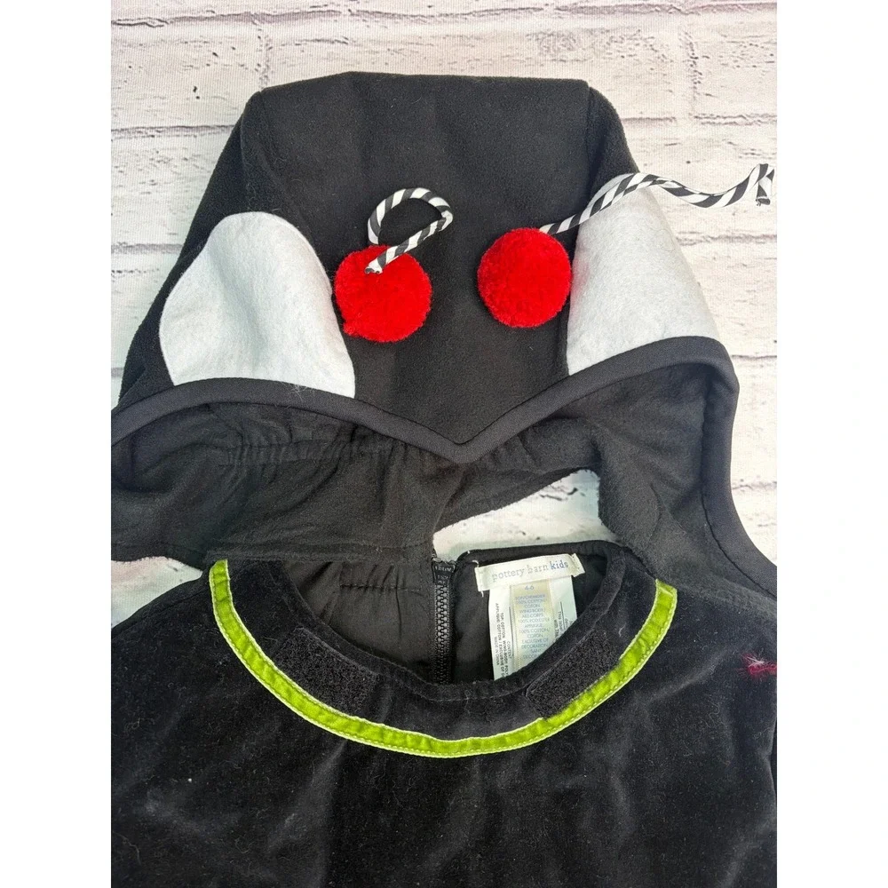 Pottery Barn Kids Spider Halloween Costume Black Velvet Plush Tunic Hood 4-6
